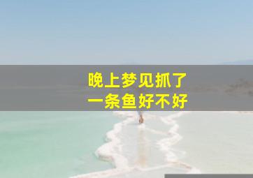 晚上梦见抓了一条鱼好不好