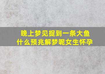 晚上梦见捉到一条大鱼什么预兆解梦呢女生怀孕