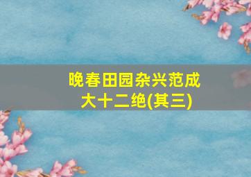 晚春田园杂兴范成大十二绝(其三)