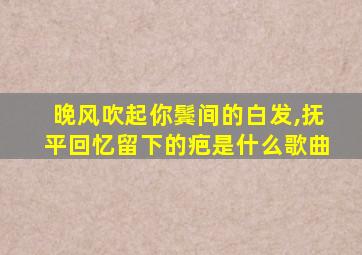 晚风吹起你鬓间的白发,抚平回忆留下的疤是什么歌曲