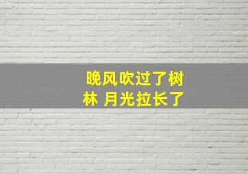 晚风吹过了树林 月光拉长了