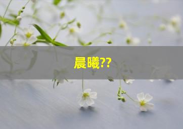 晨曦??