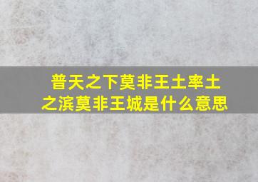 普天之下莫非王土率土之滨莫非王城是什么意思