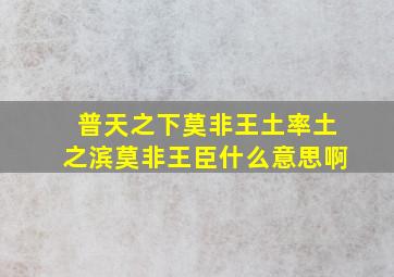 普天之下莫非王土率土之滨莫非王臣什么意思啊