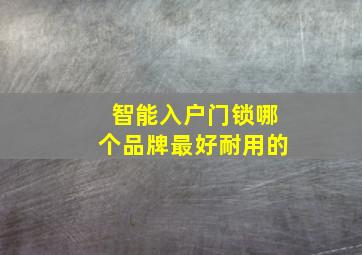 智能入户门锁哪个品牌最好耐用的