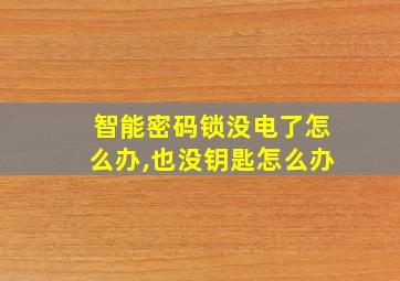 智能密码锁没电了怎么办,也没钥匙怎么办