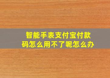 智能手表支付宝付款码怎么用不了呢怎么办