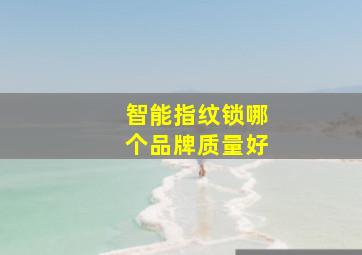 智能指纹锁哪个品牌质量好