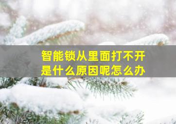 智能锁从里面打不开是什么原因呢怎么办