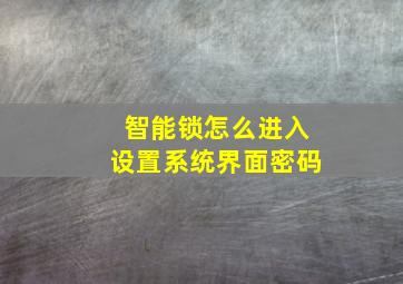 智能锁怎么进入设置系统界面密码