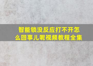 智能锁没反应打不开怎么回事儿呢视频教程全集