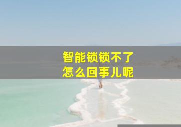 智能锁锁不了怎么回事儿呢