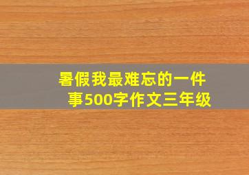 暑假我最难忘的一件事500字作文三年级