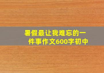 暑假最让我难忘的一件事作文600字初中