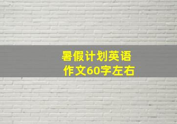 暑假计划英语作文60字左右