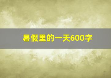 暑假里的一天600字