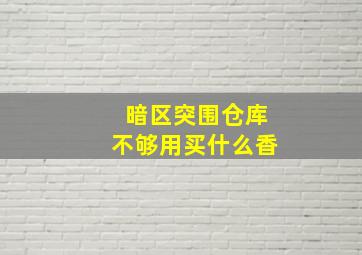 暗区突围仓库不够用买什么香