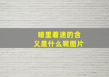 暗里着迷的含义是什么呢图片