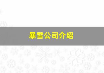 暴雪公司介绍