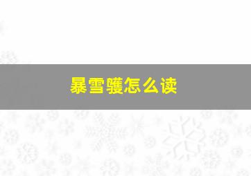 暴雪鹱怎么读