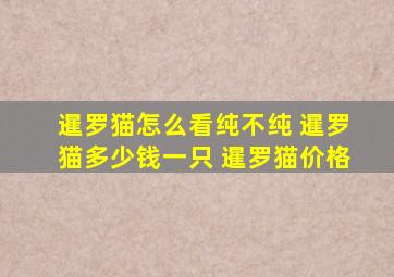 暹罗猫怎么看纯不纯 暹罗猫多少钱一只 暹罗猫价格