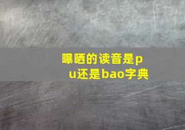 曝晒的读音是pu还是bao字典