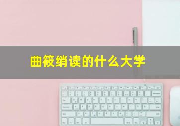 曲筱绡读的什么大学