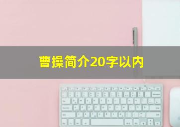 曹操简介20字以内