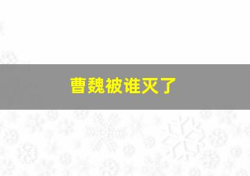 曹魏被谁灭了