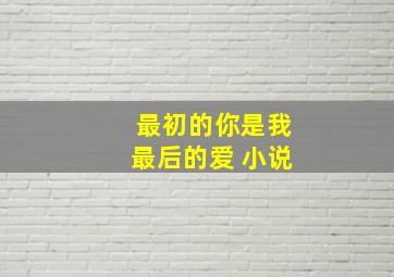 最初的你是我最后的爱 小说