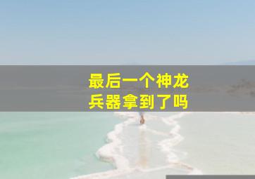 最后一个神龙兵器拿到了吗