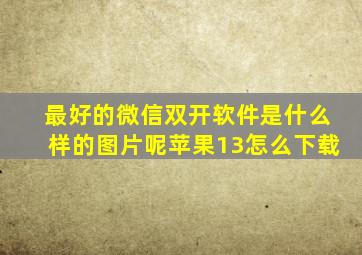 最好的微信双开软件是什么样的图片呢苹果13怎么下载