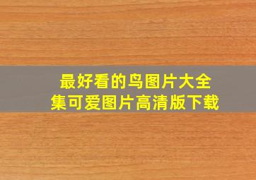 最好看的鸟图片大全集可爱图片高清版下载