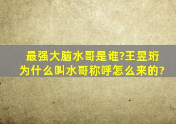 最强大脑水哥是谁?王昱珩为什么叫水哥称呼怎么来的?