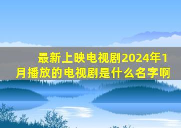 最新上映电视剧2024年1月播放的电视剧是什么名字啊