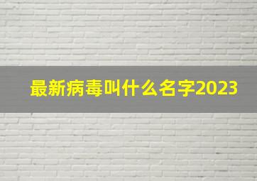 最新病毒叫什么名字2023