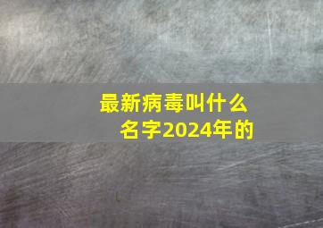 最新病毒叫什么名字2024年的