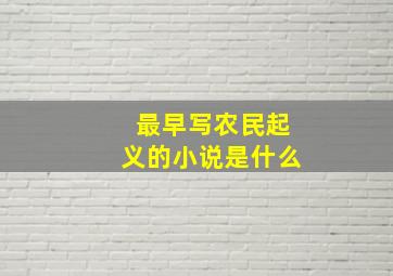 最早写农民起义的小说是什么