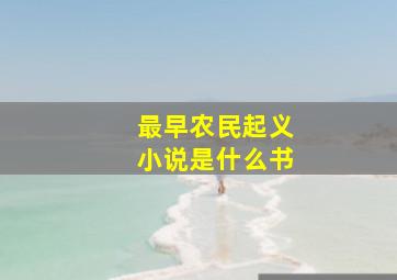 最早农民起义小说是什么书