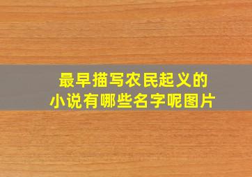 最早描写农民起义的小说有哪些名字呢图片