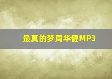 最真的梦周华健MP3