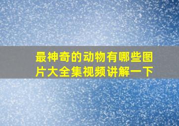 最神奇的动物有哪些图片大全集视频讲解一下