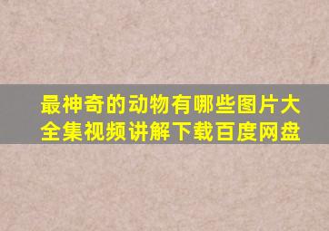 最神奇的动物有哪些图片大全集视频讲解下载百度网盘