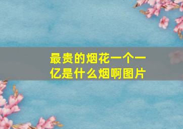 最贵的烟花一个一亿是什么烟啊图片