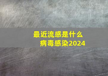 最近流感是什么病毒感染2024