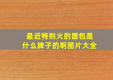 最近特别火的面包是什么牌子的啊图片大全