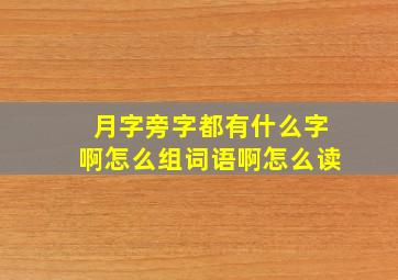 月字旁字都有什么字啊怎么组词语啊怎么读