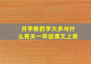 月字旁的字大多与什么有关一年级课文上册