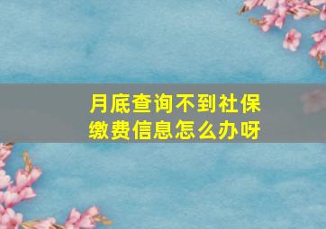 月底查询不到社保缴费信息怎么办呀