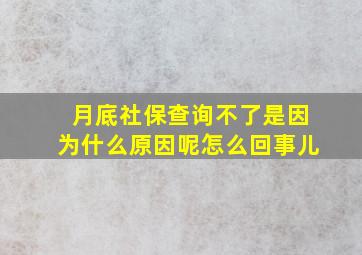 月底社保查询不了是因为什么原因呢怎么回事儿